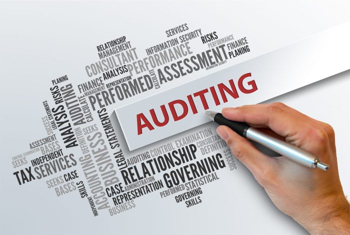 Accounting and auditing for the education sector